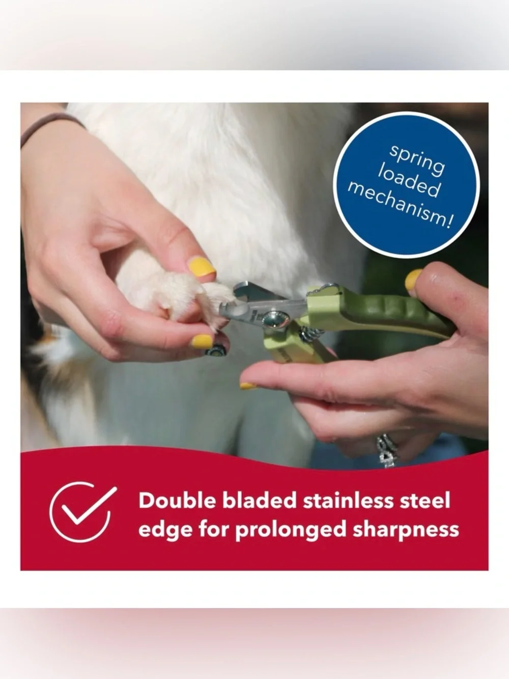 Safari Professional Stainless Steel Dog Nail Trimmer
